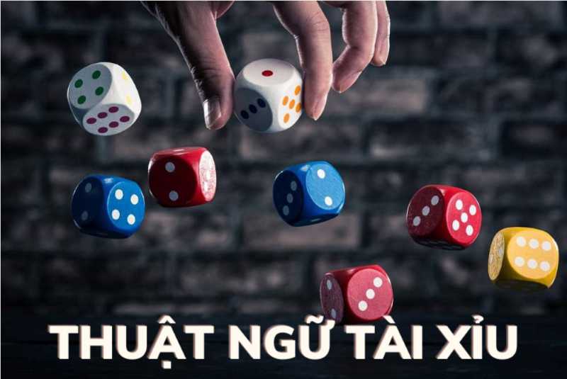 Thuat ngu tai xiu 1